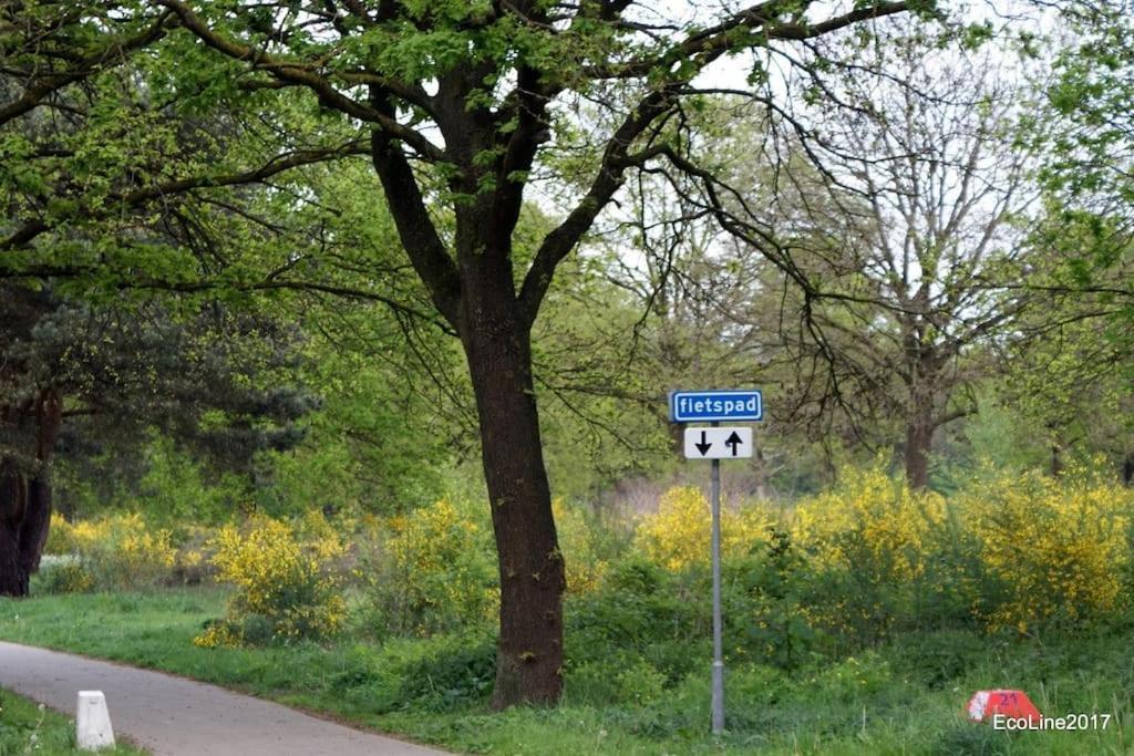 Huinerhofje 2 - Vrijstaand Met Grote Omheinde Tuin, Rust, Privacy En Nabij Bossen Villa Putten Eksteriør billede