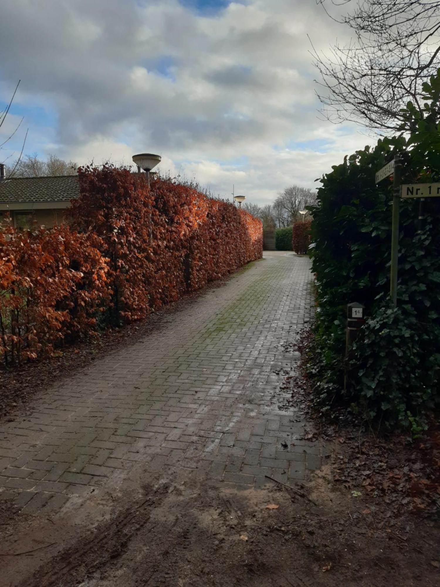 Huinerhofje 2 - Vrijstaand Met Grote Omheinde Tuin, Rust, Privacy En Nabij Bossen Villa Putten Eksteriør billede